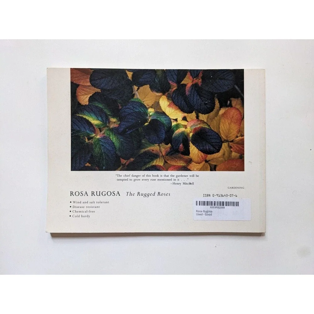 ROSA RUGOSA (1991) by Suzanne Verrier photographs by Charles Steinhacker VTG